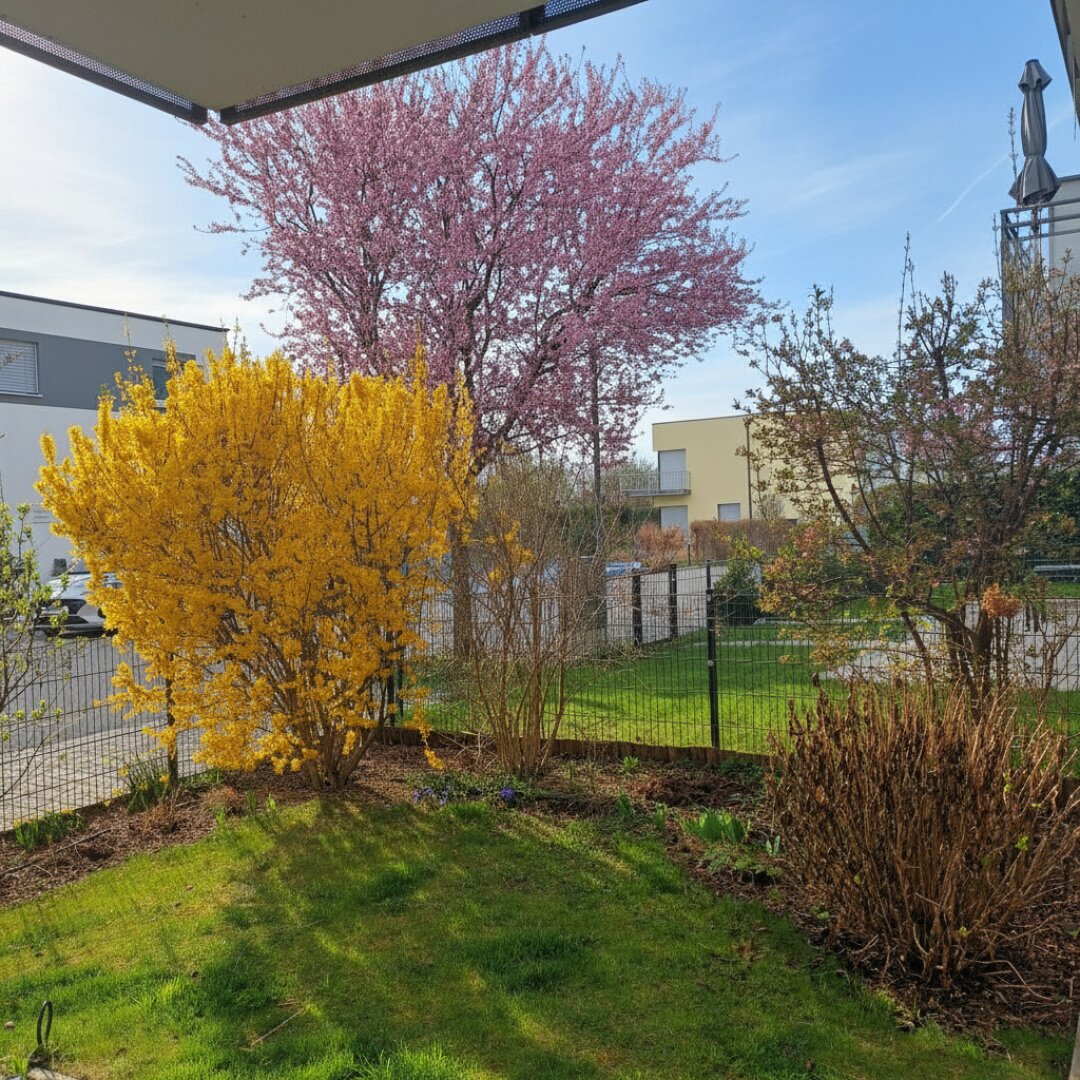 Wohnen am Felser See - mit Seezugang und Traumgarten