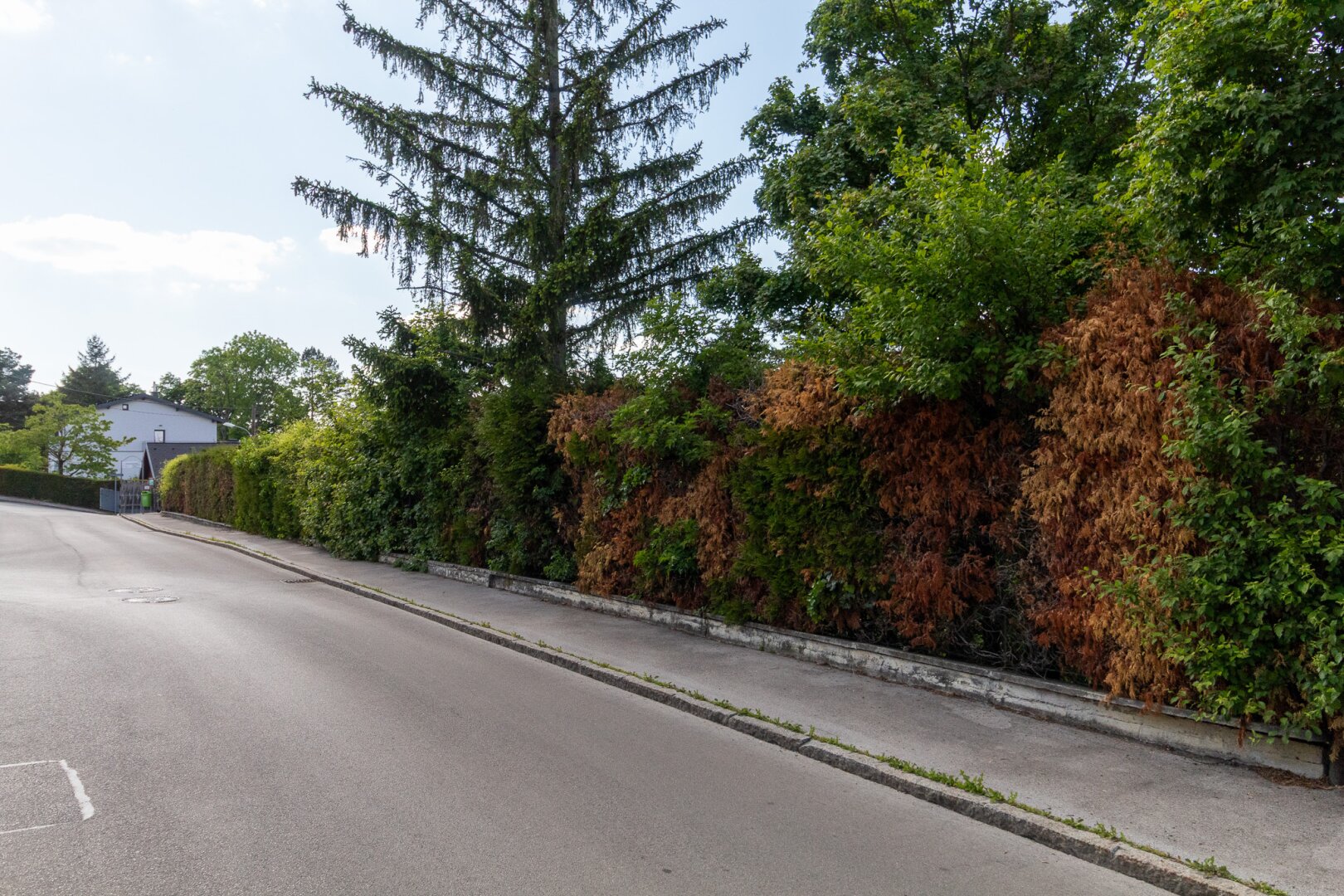 Straßenfront des Grundstückes