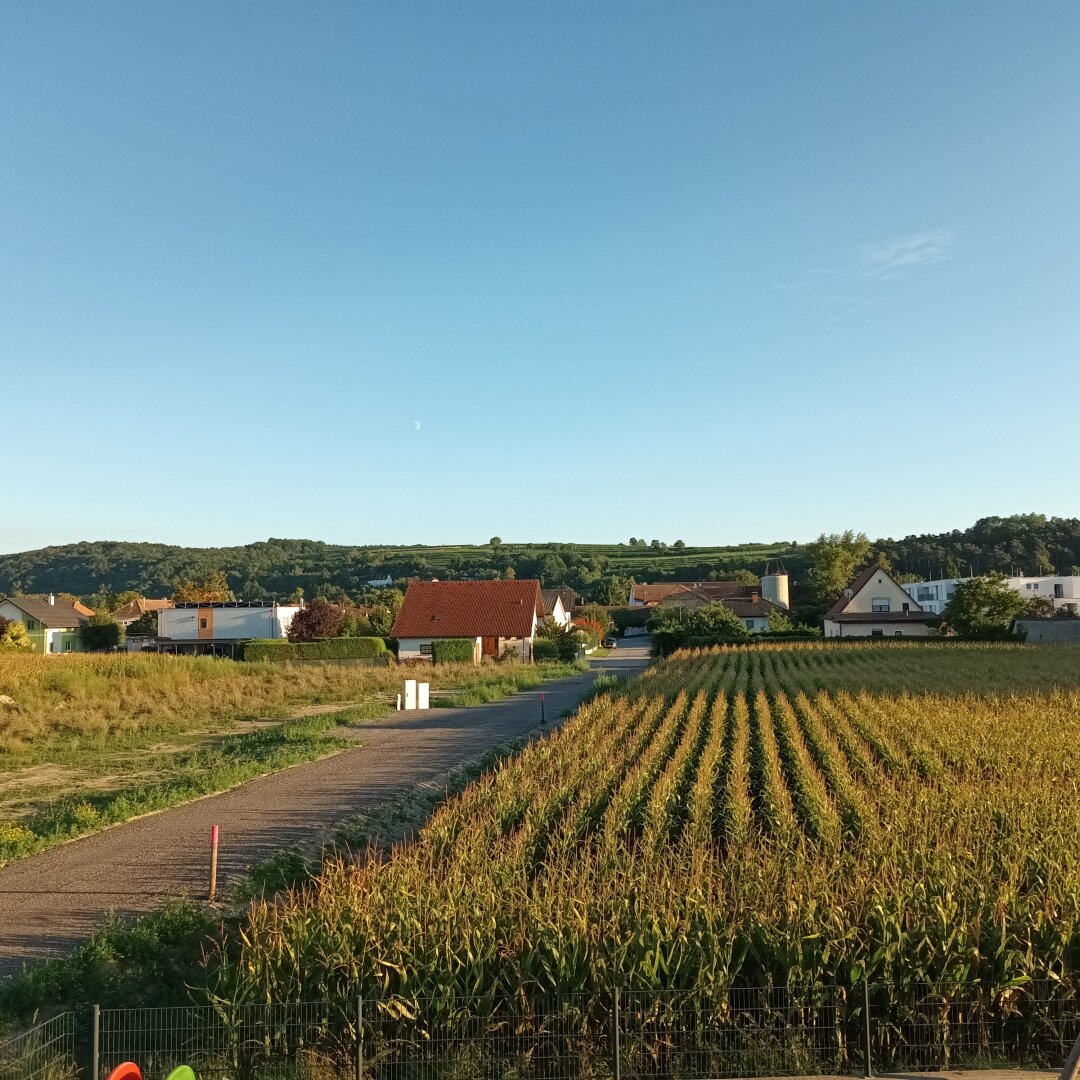 Neuwertige 3-Zimmer-Wohnung mit Balkon in Traismauer – Ihr neues Zuhause wartet!
