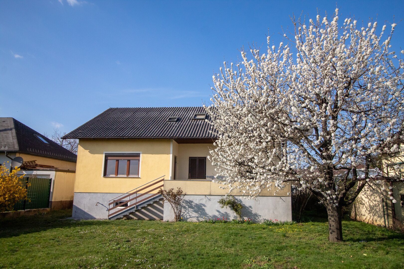 Blick vom Garten zum Haus