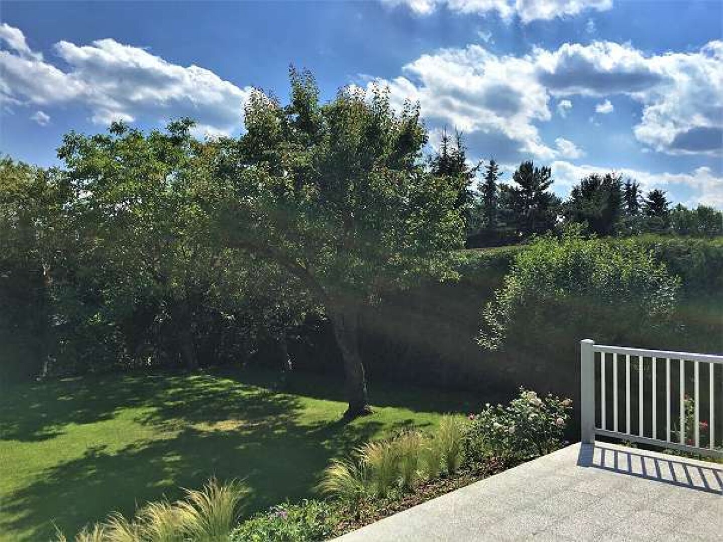 Blick von der Terrasse zu den Obstbäumen