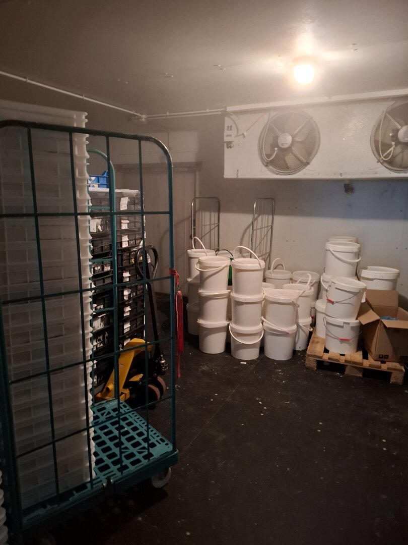 LAGER-PRODUKTIONSHALLE MIT GROSSZÜGIGER KÜHL UND TIEFKÜHLMÖGLICHKEIT GASTROTEL IMMOBILIEN