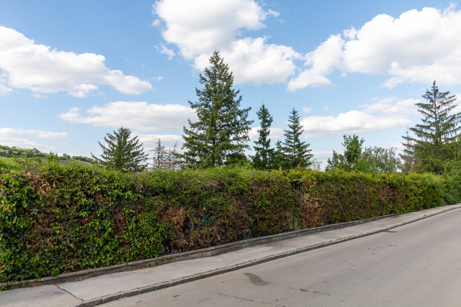 Straßenfront des Grundstückes