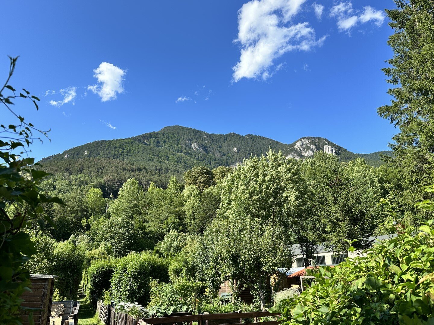 Attraktive Eigentumswohnung zum Kauf in 2650 Payerbach