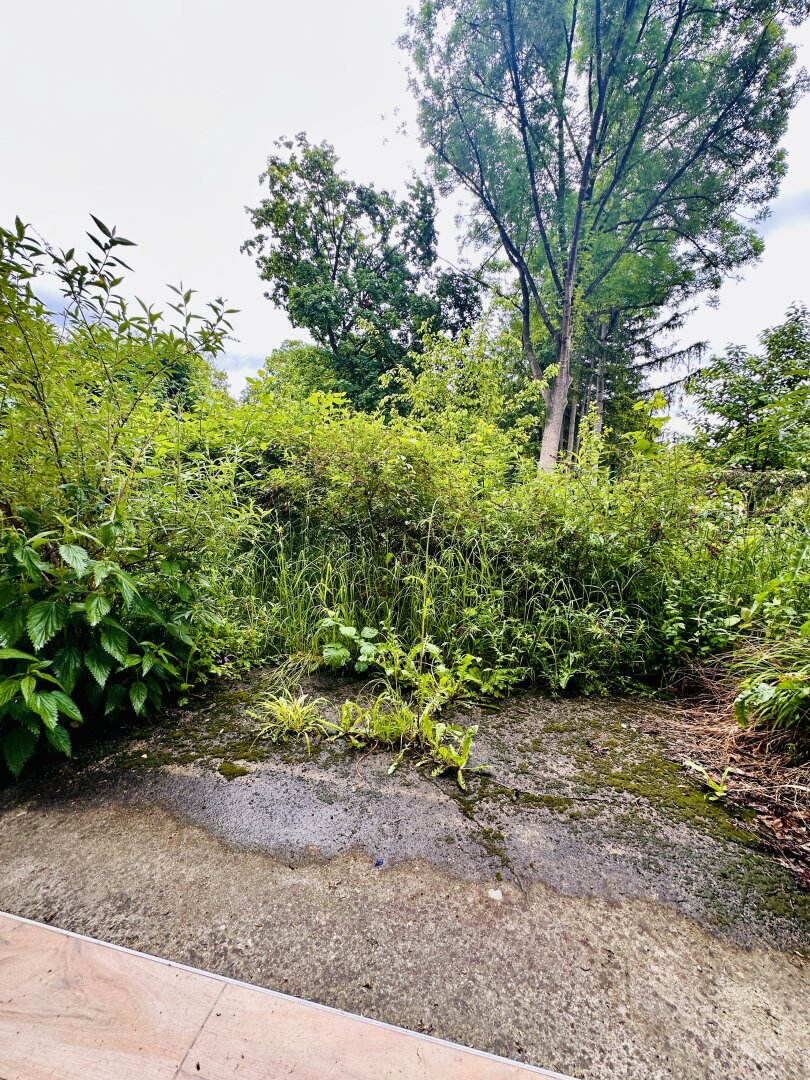 Sanierungsbedürftige Erdgeschosswohnung mit Gartenzugang im Zentrum von Reichenau an der Rax – 65 m² mit viel Potenzial