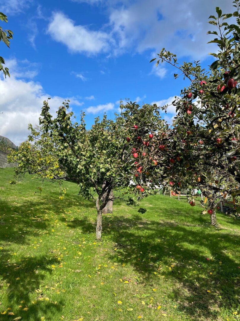 Charmant & Gepflegt! -  Einfamilienhaus in ruhiger und sonniger Dorflage nahe des Naturbadesee!