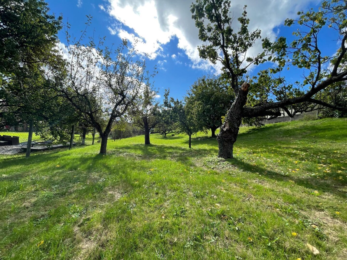 Charmant & Gepflegt! -  Einfamilienhaus in ruhiger und sonniger Dorflage nahe des Naturbadesee!
