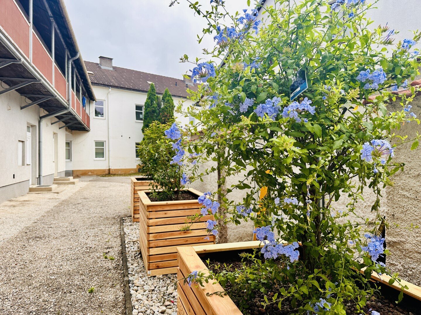 RENDITE - vermietete Eigentumswohnung mit allgemeinen Balkon und eigenen Parkplatz gelangt in 2630 Ternitz zum Verkauf!