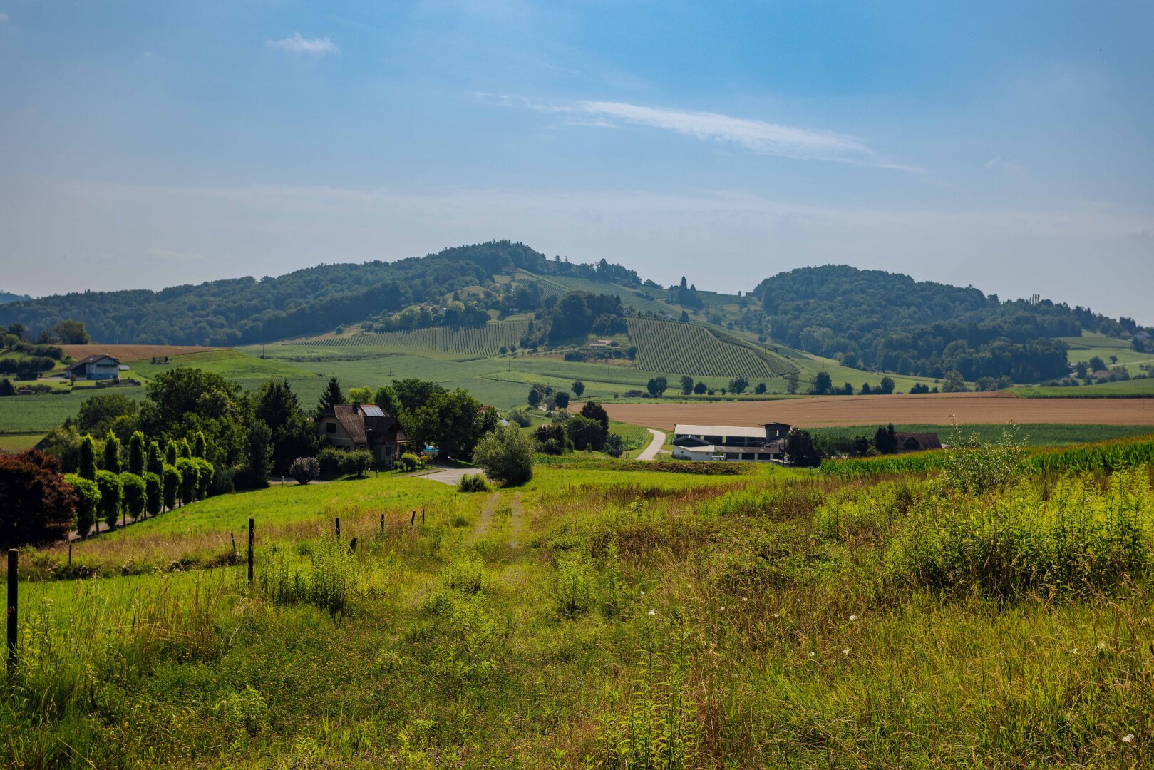Traumgrundstück am Waldrand: Genießen Sie ein einladendes Sonnenparadies mit Panoramablick!