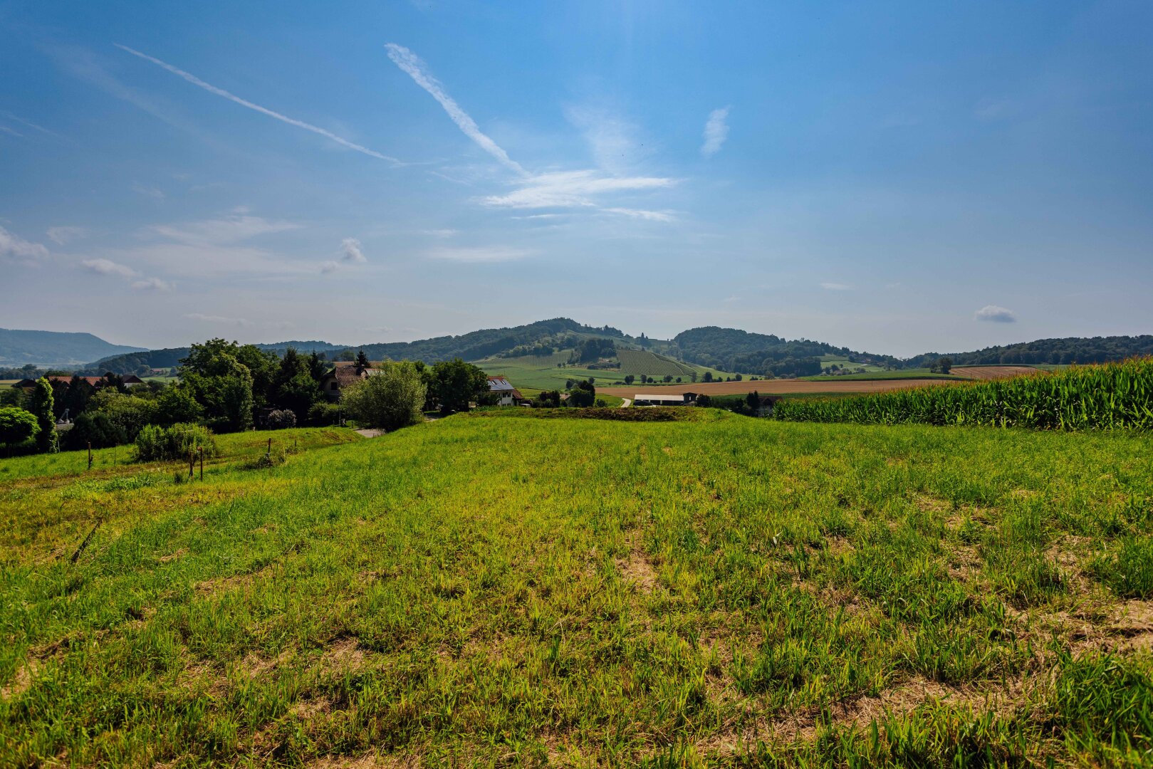 Traumgrundstück am Waldrand: Genießen Sie ein einladendes Sonnenparadies mit Panoramablick!