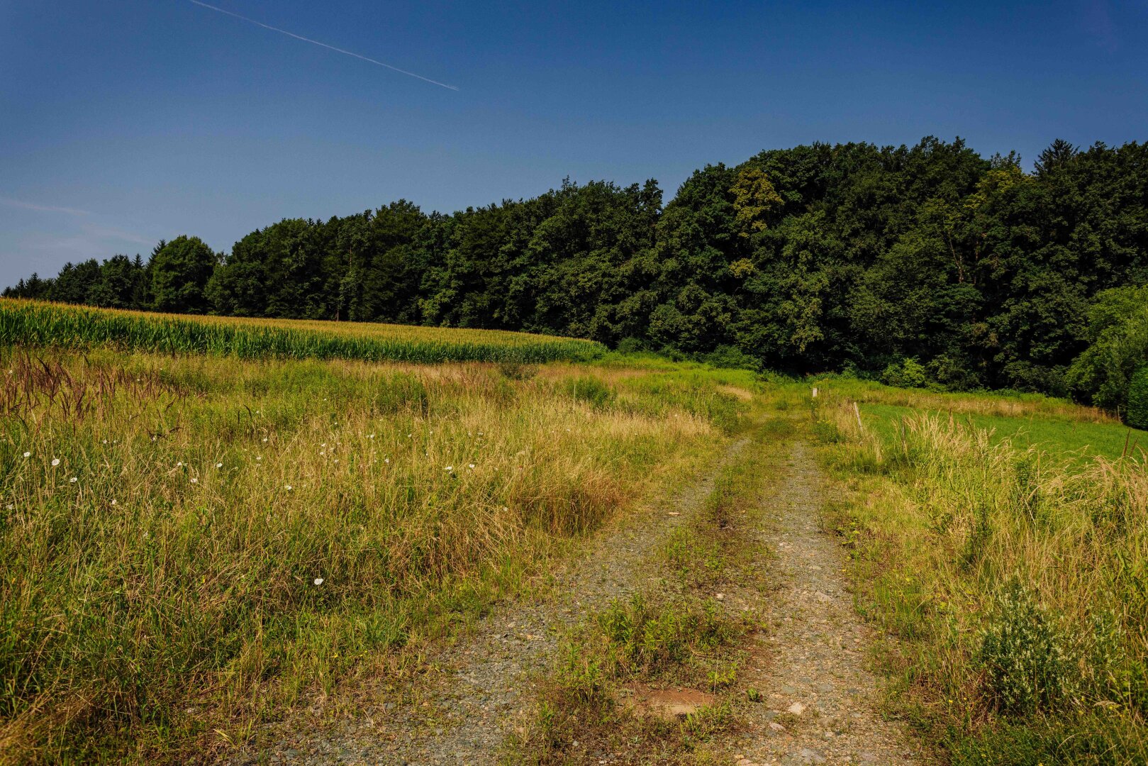 Traumgrundstück am Waldrand: Genießen Sie ein einladendes Sonnenparadies mit Panoramablick!