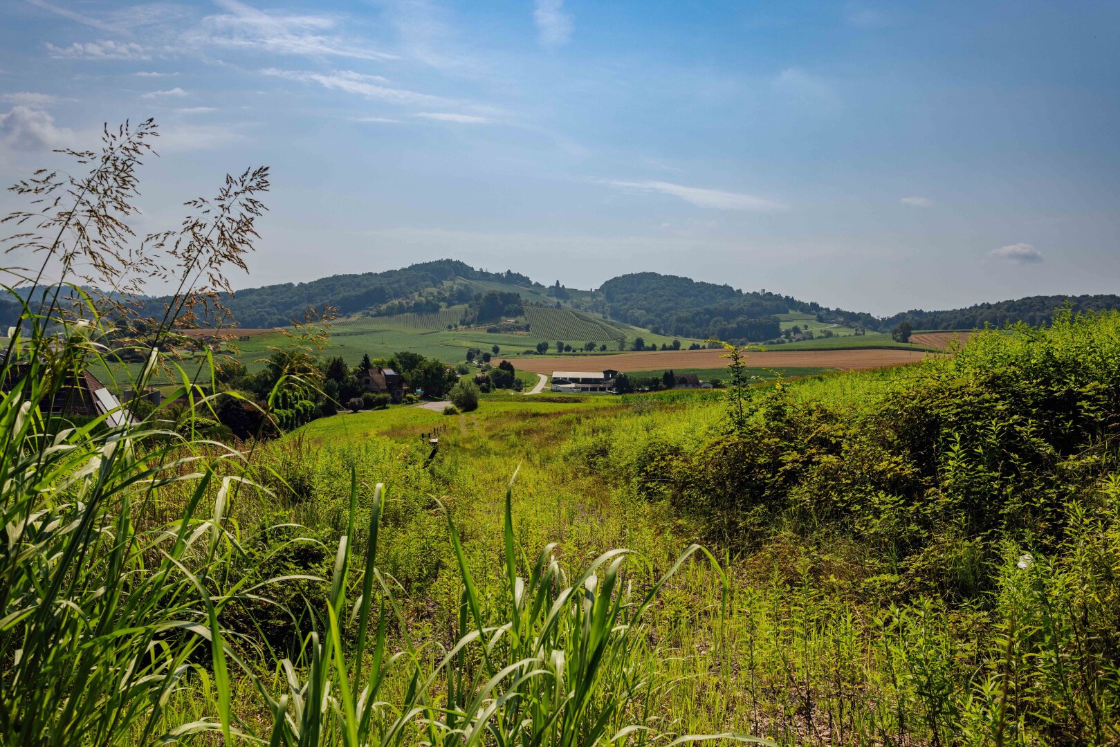Traumgrundstück am Waldrand: Genießen Sie ein einladendes Sonnenparadies mit Panoramablick!