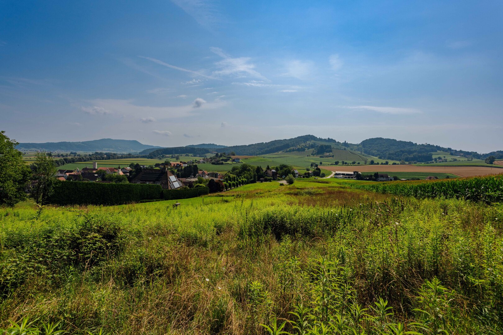 Traumgrundstück am Waldrand: Genießen Sie ein einladendes Sonnenparadies mit Panoramablick!