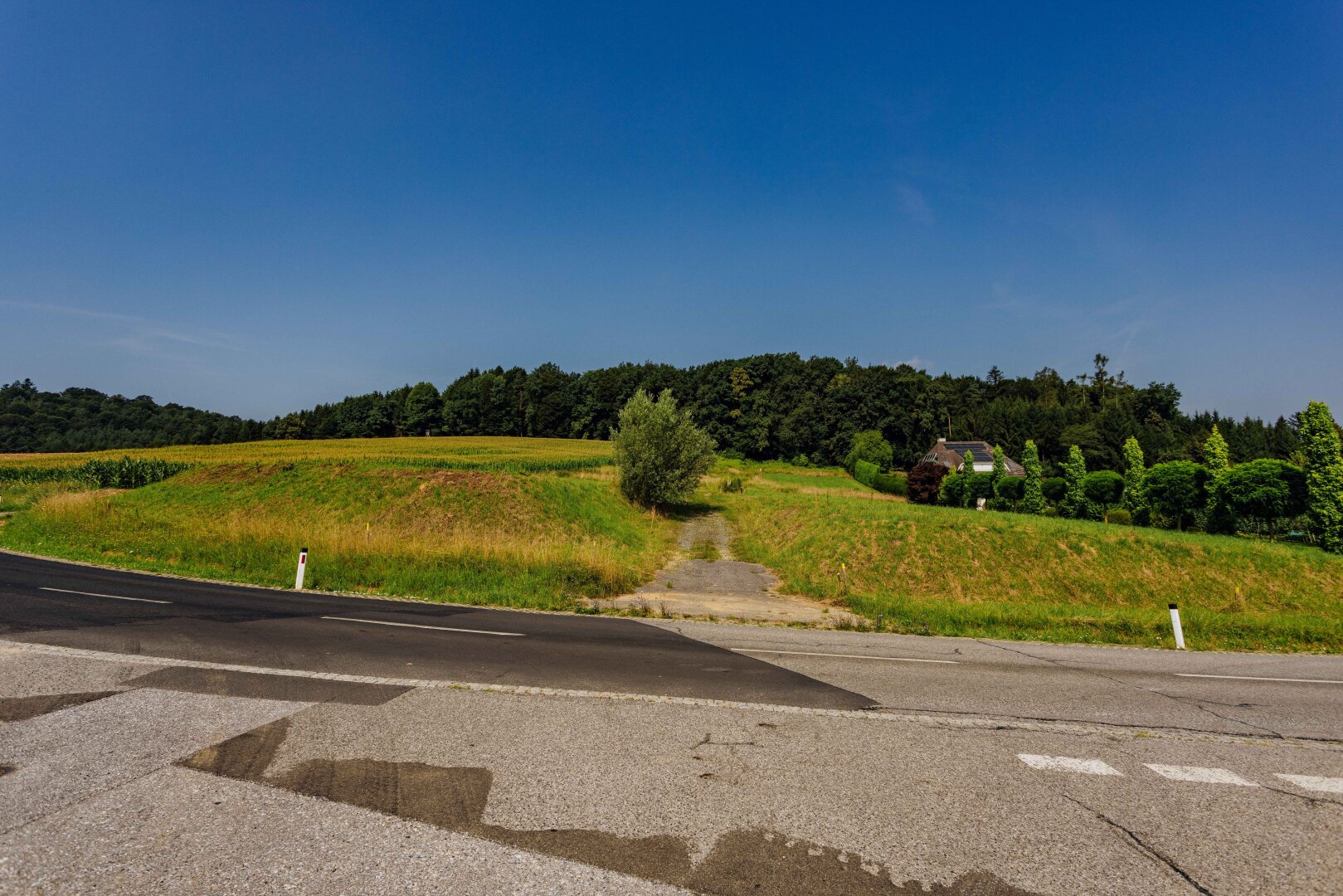 Traumgrundstück am Waldrand: Genießen Sie ein einladendes Sonnenparadies mit Panoramablick!