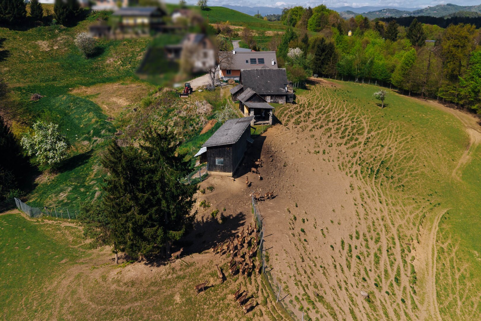 Ihr Rückzugsort am Kranachberg: Anwesen mit Weitblick und Seltenheitswert