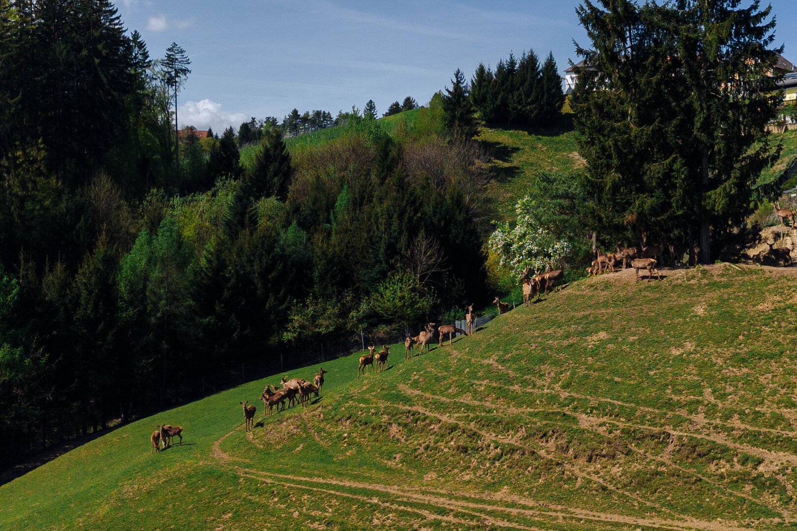 Ihr Rückzugsort am Kranachberg: Anwesen mit Weitblick und Seltenheitswert