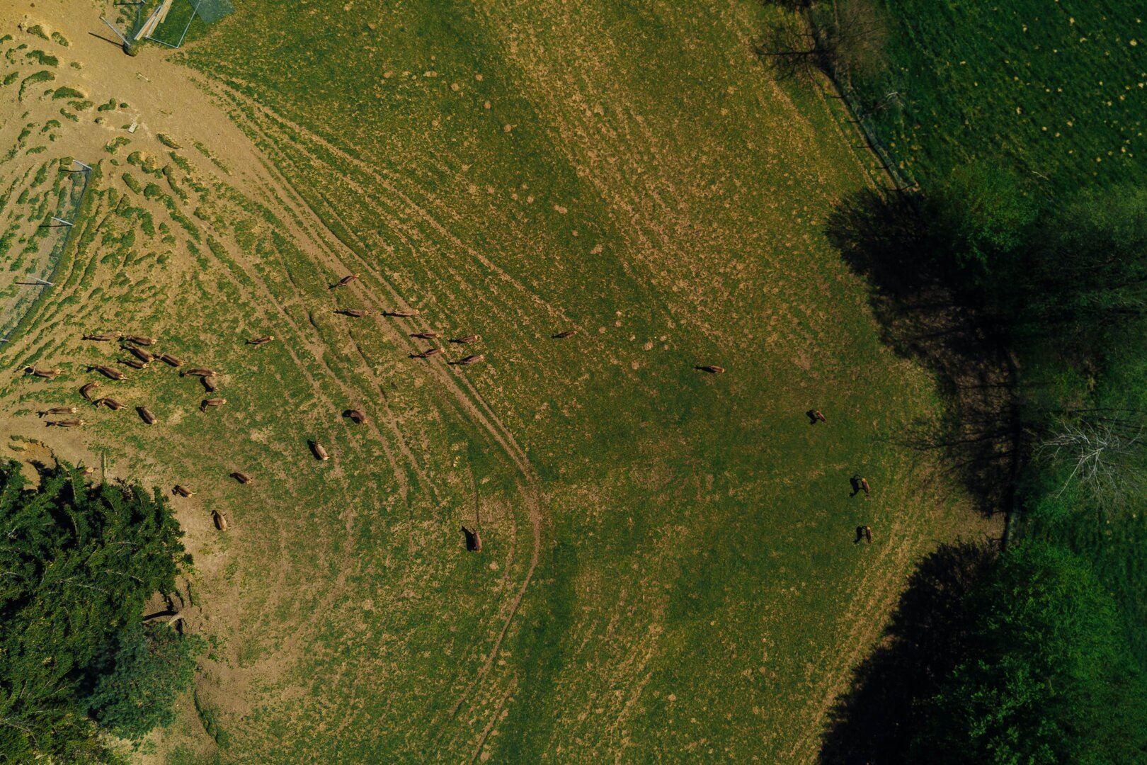 Ihr Rückzugsort am Kranachberg: Anwesen mit Weitblick und Seltenheitswert