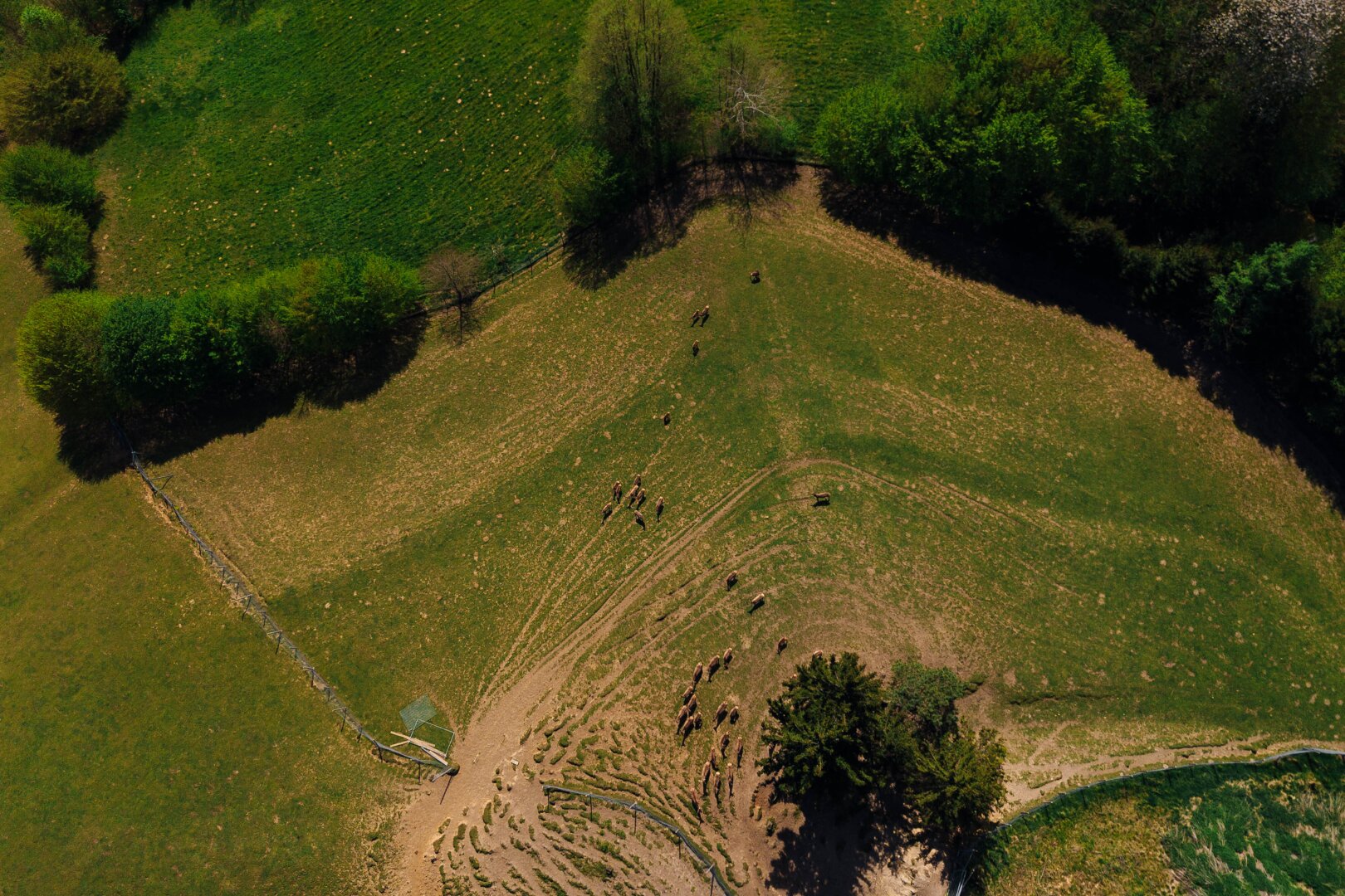 Ihr Rückzugsort am Kranachberg: Anwesen mit Weitblick und Seltenheitswert