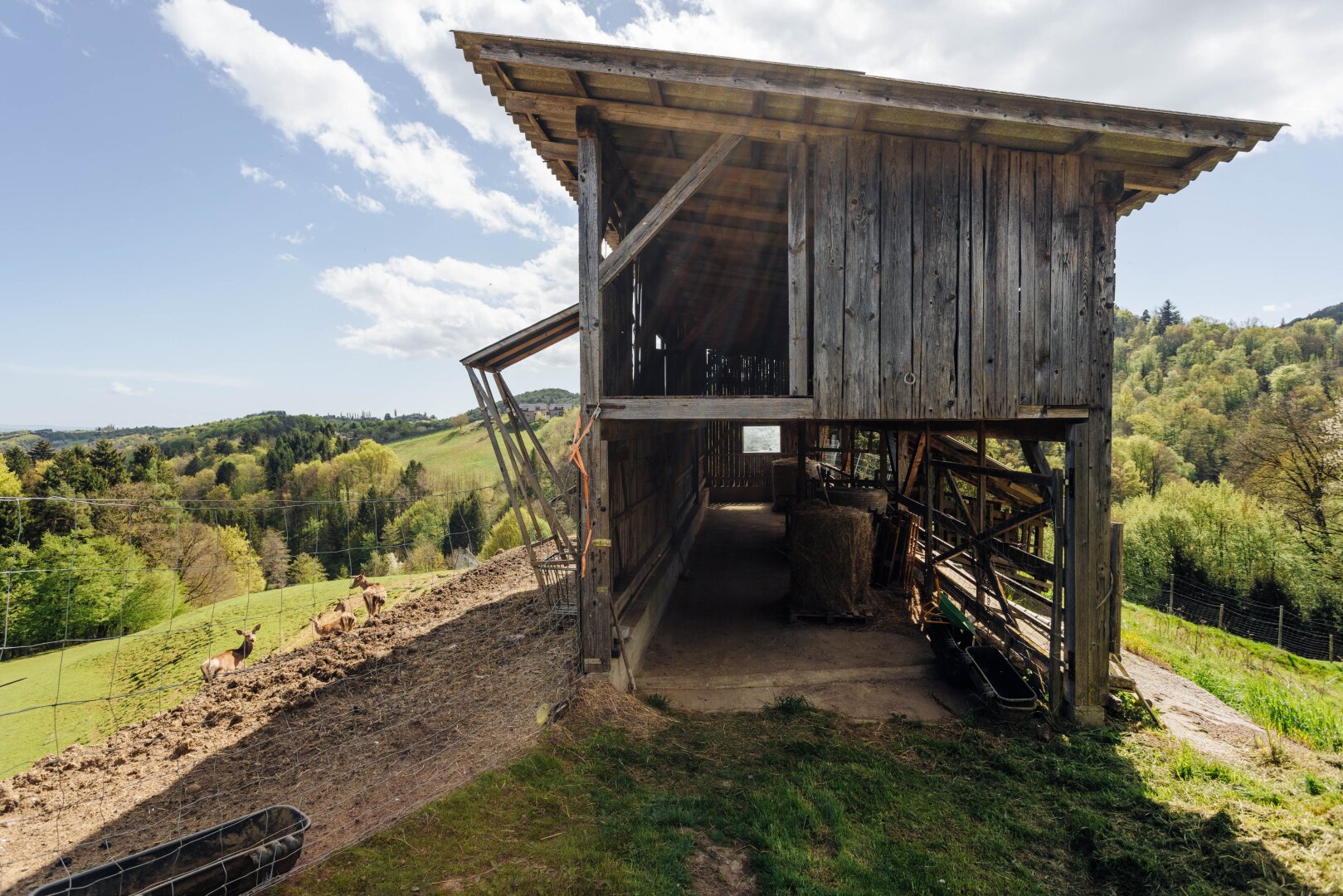Ihr Rückzugsort am Kranachberg: Anwesen mit Weitblick und Seltenheitswert