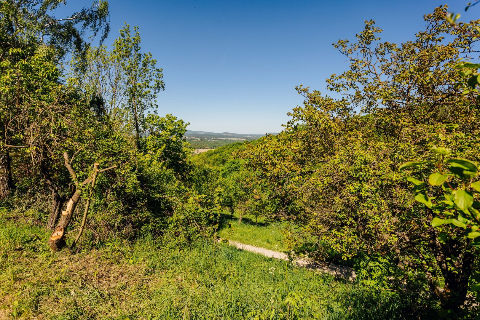Ihr idyllischer Rückzugsort mit Weitblick und großem Entwicklungspotenzial in Apače / Slowenien!