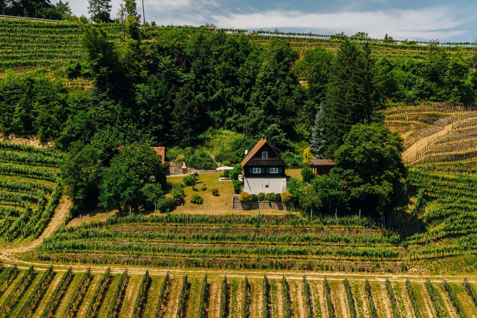 Südsteirische Alleinlage umgeben von Weinbergen mit traumhaftem Panorama!