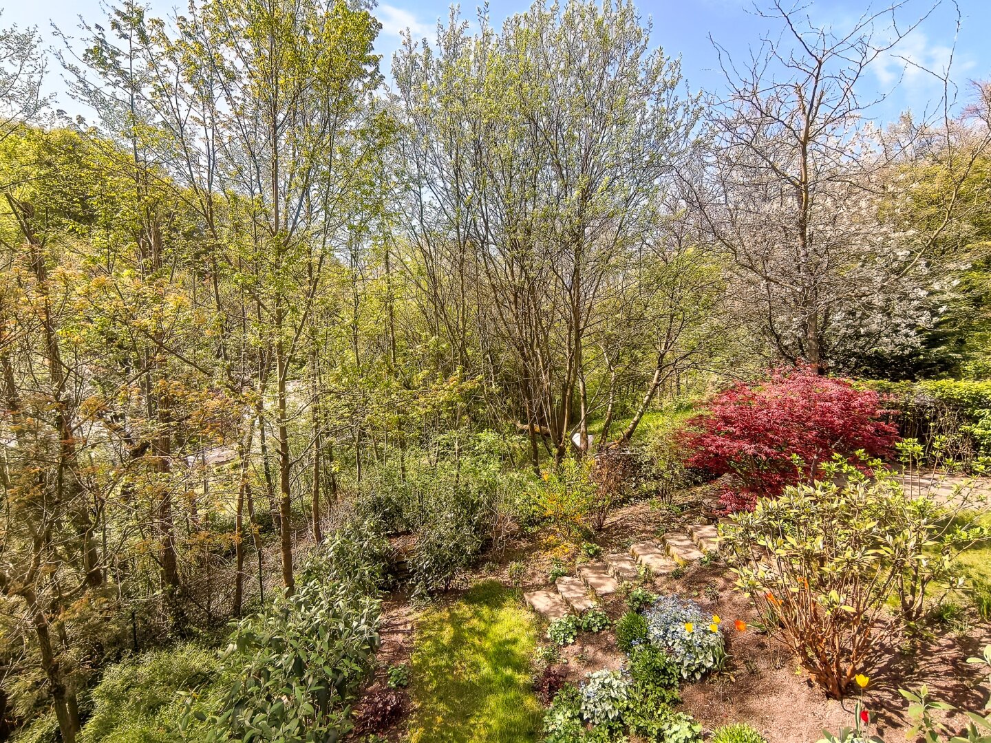 Grünoase eigener Garten.