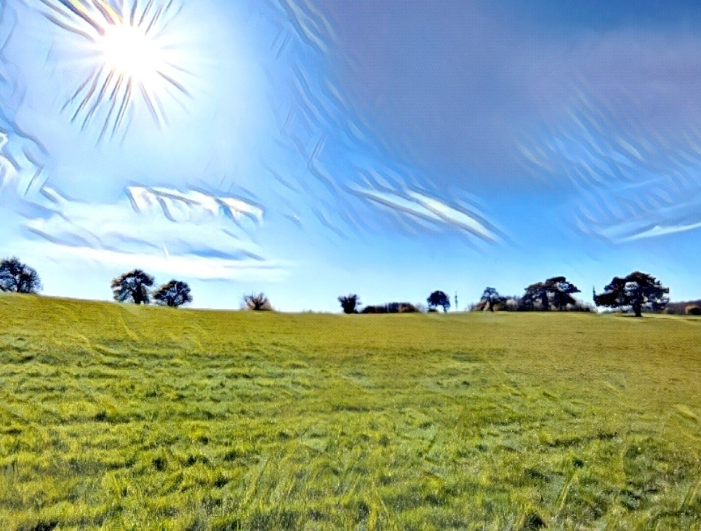 direkt angrenzende Felder und Wiesen