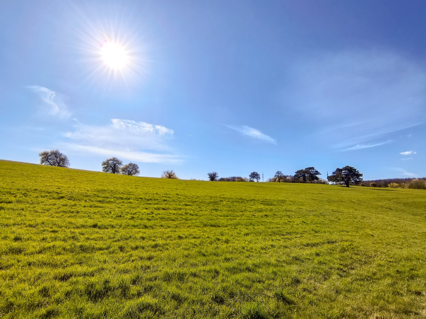 direkt angrenzende Felder und Wiesen