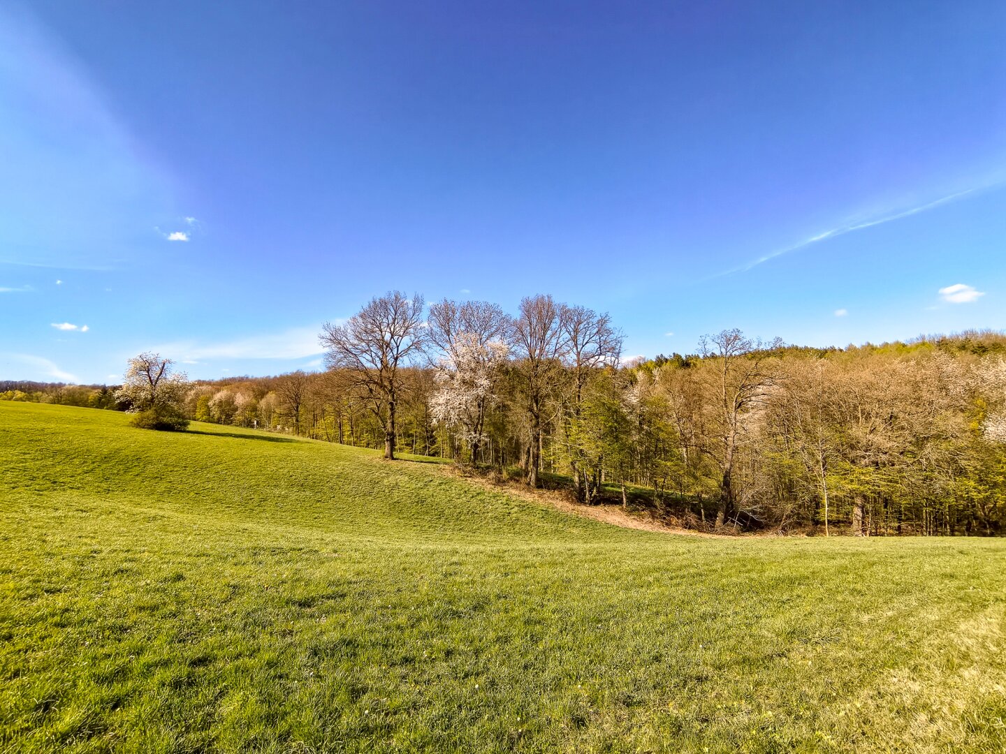 Leben mitten im Biosphärenpark