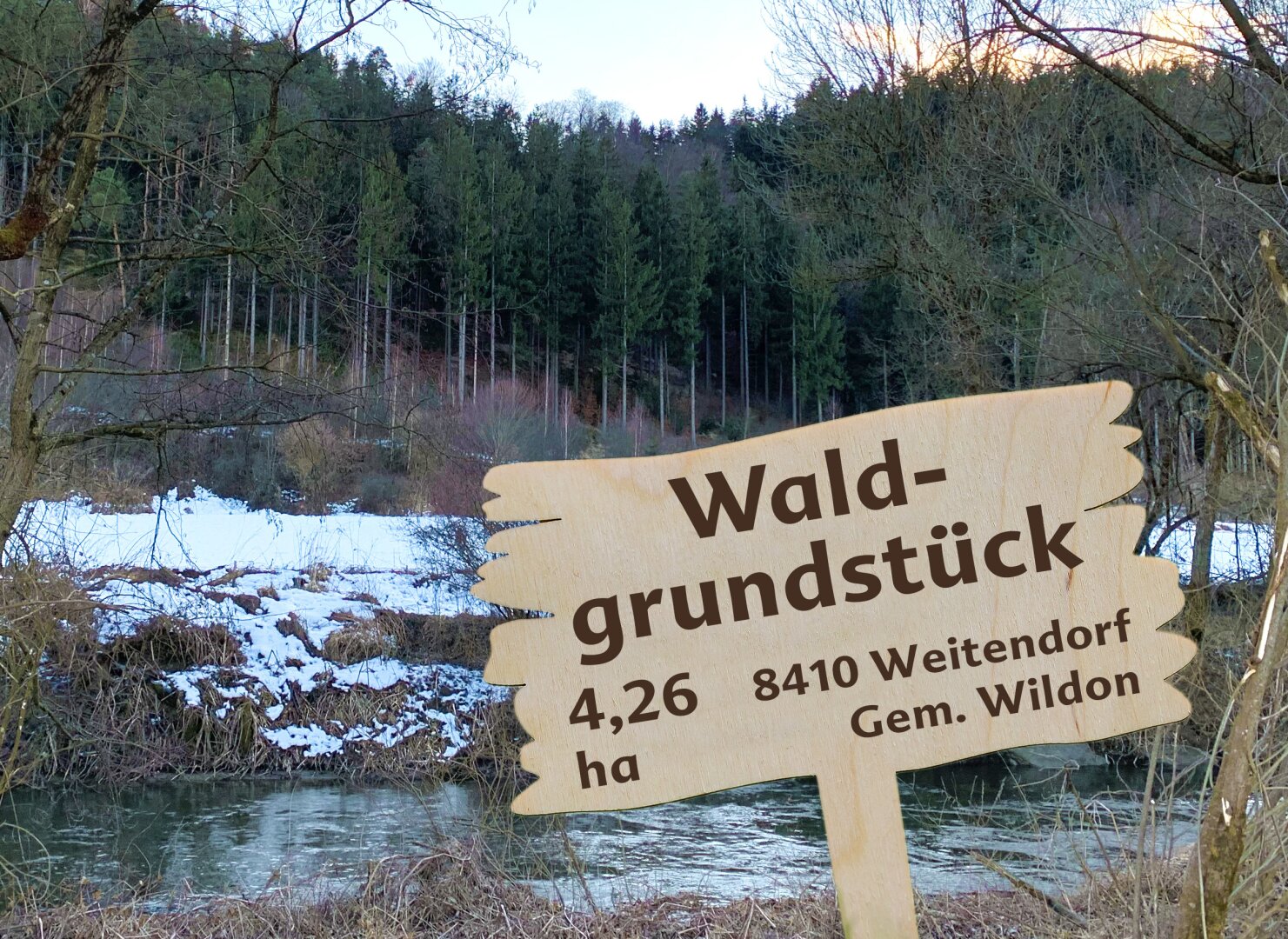 Waldgrundstück (4,26 ha) in Weitendorf zu verkaufen