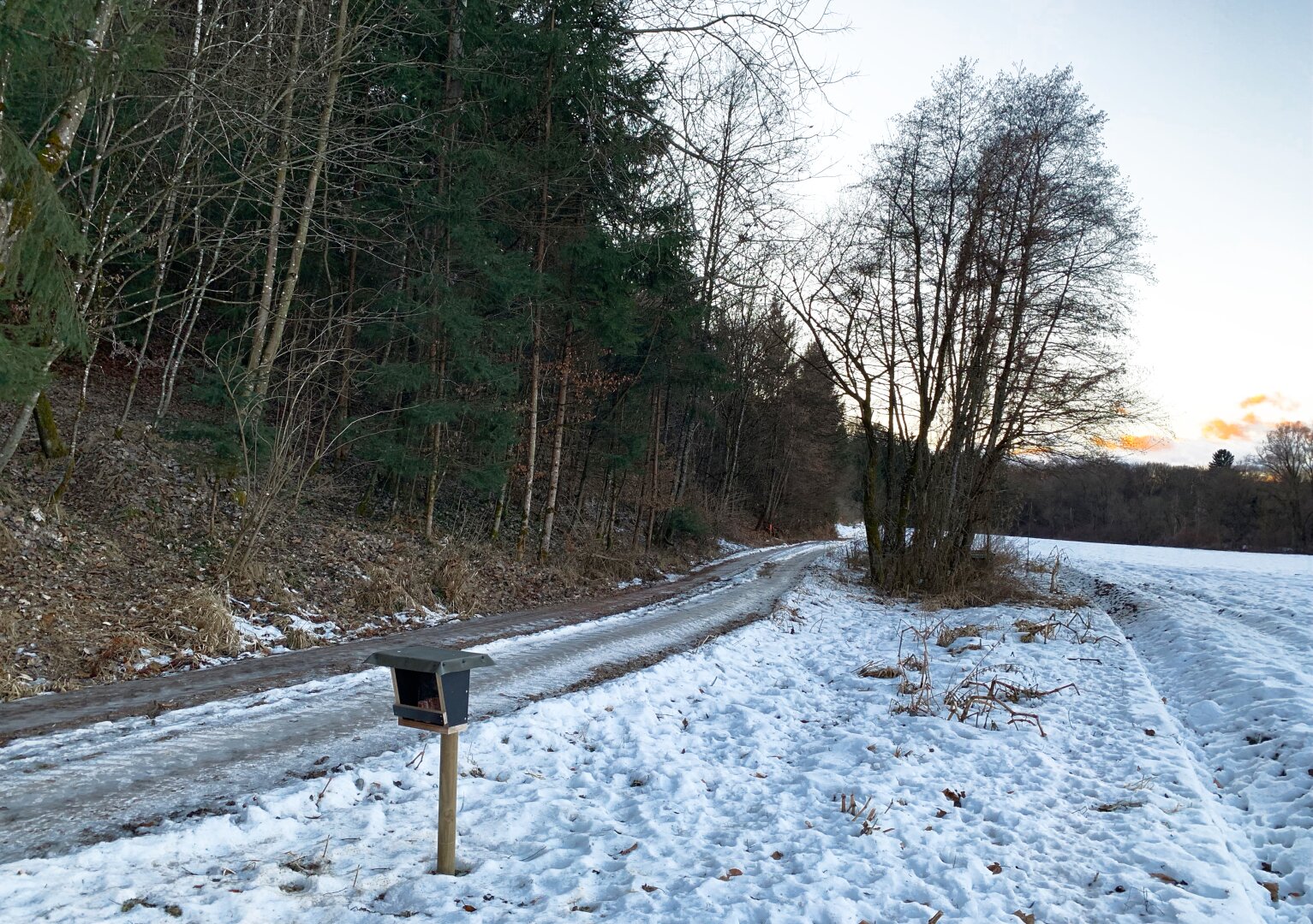 Waldgrundstück (4,26 ha) in Weitendorf zu verkaufen