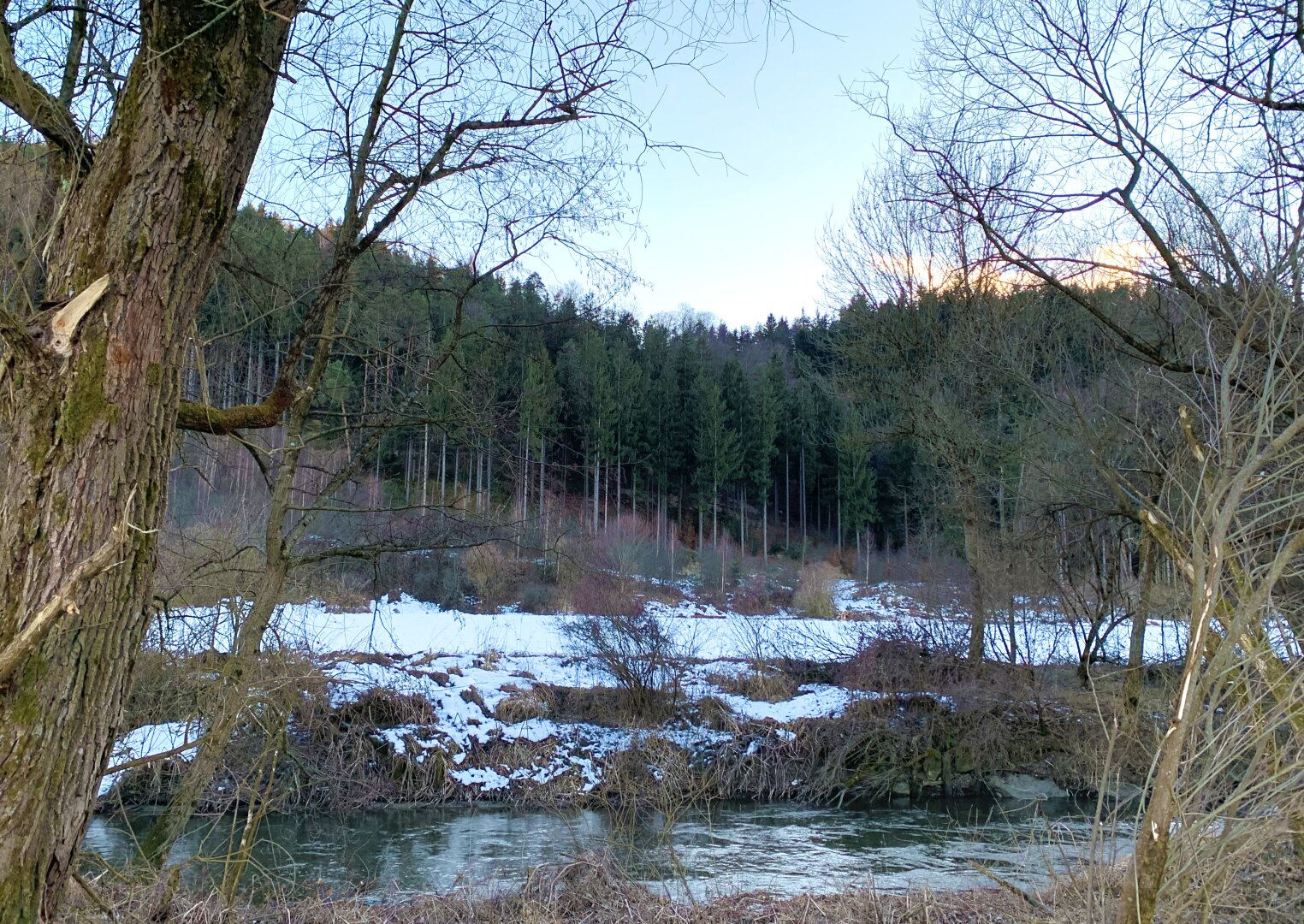 Waldgrundstück (4,26 ha) in Weitendorf zu verkaufen