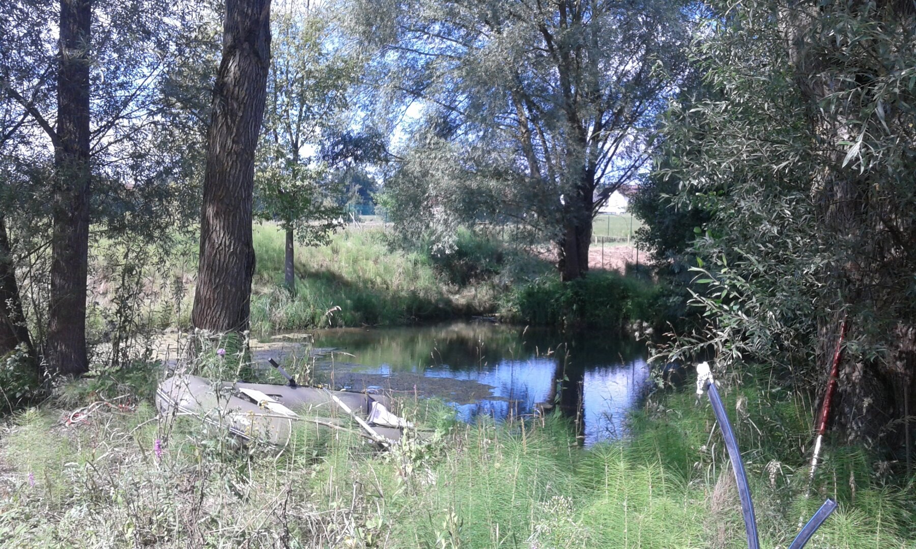 betriebsgrundstück mit teich & bach – ca. 5.178 m² | ideal für handwerk & kleinunternehmen