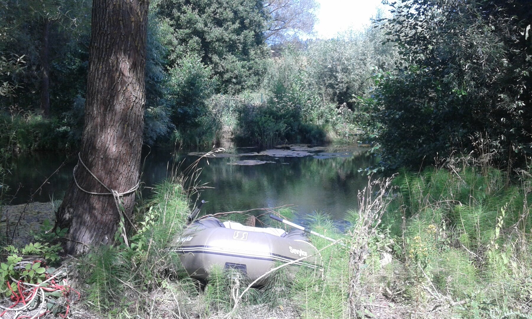 betriebsgrundstück mit teich & bach – ca. 5.178 m² | ideal für handwerk & kleinunternehmen