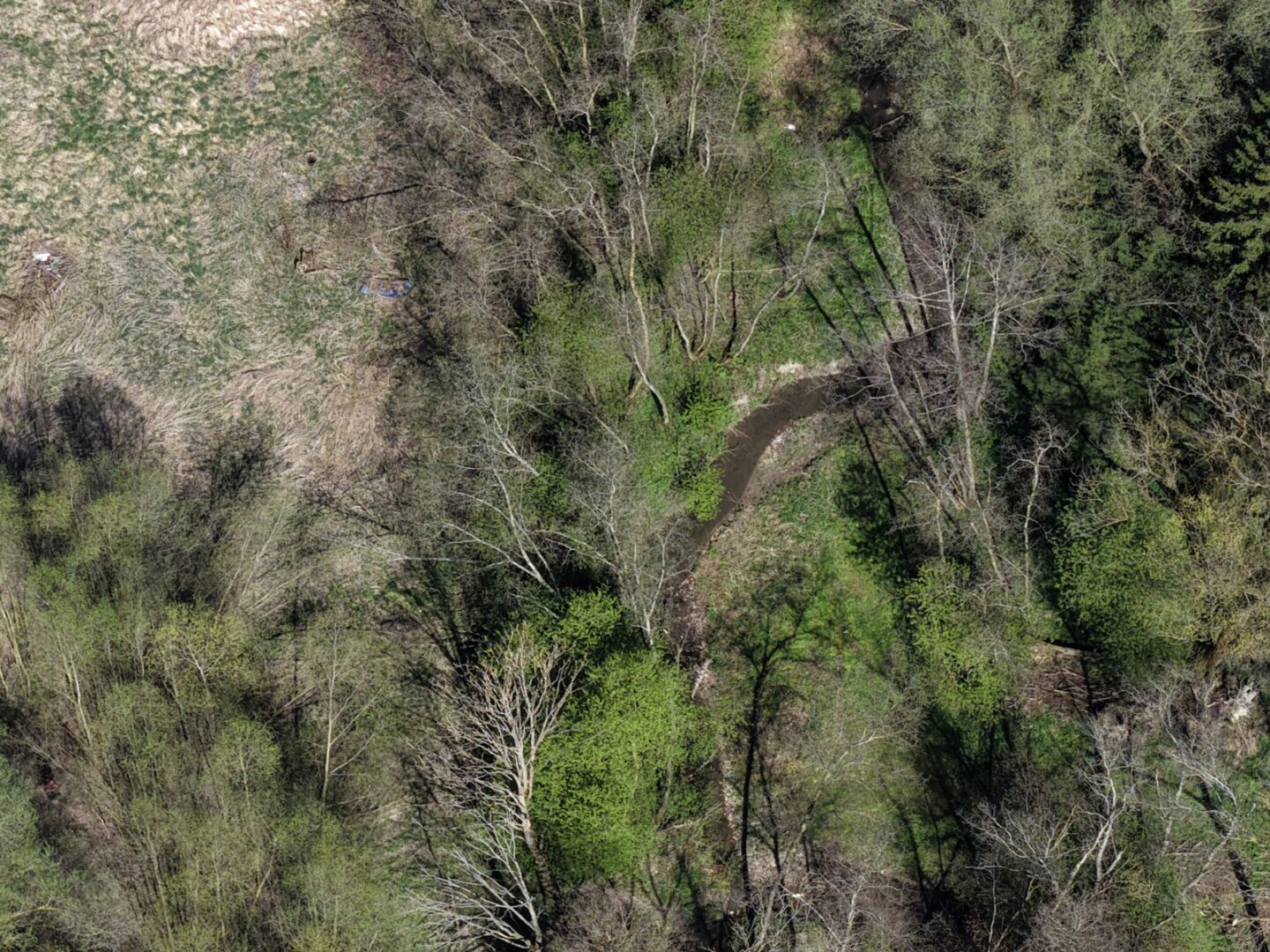 betriebsgrundstück mit teich & bach – ca. 5.178 m² | ideal für handwerk & kleinunternehmen