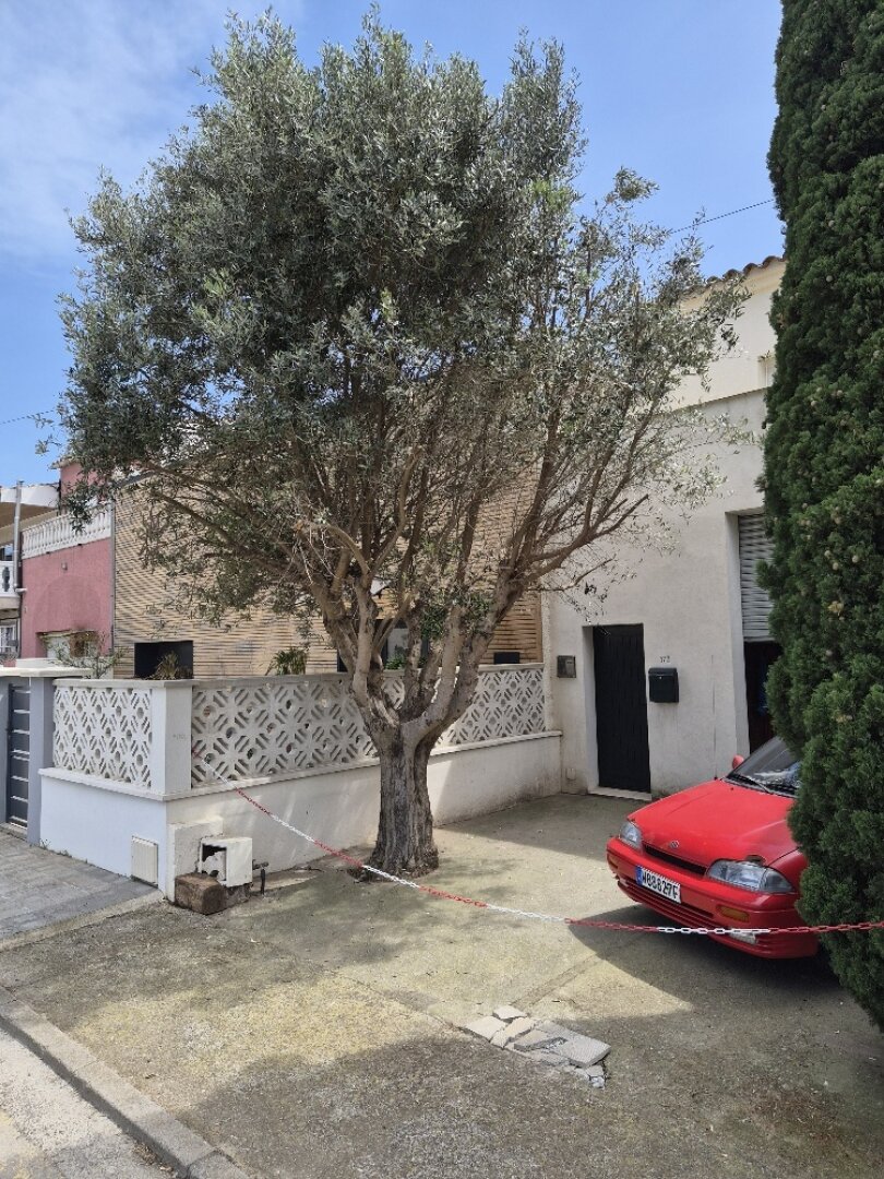 Ferienimmobilie mit ganzjähriger Nutzung