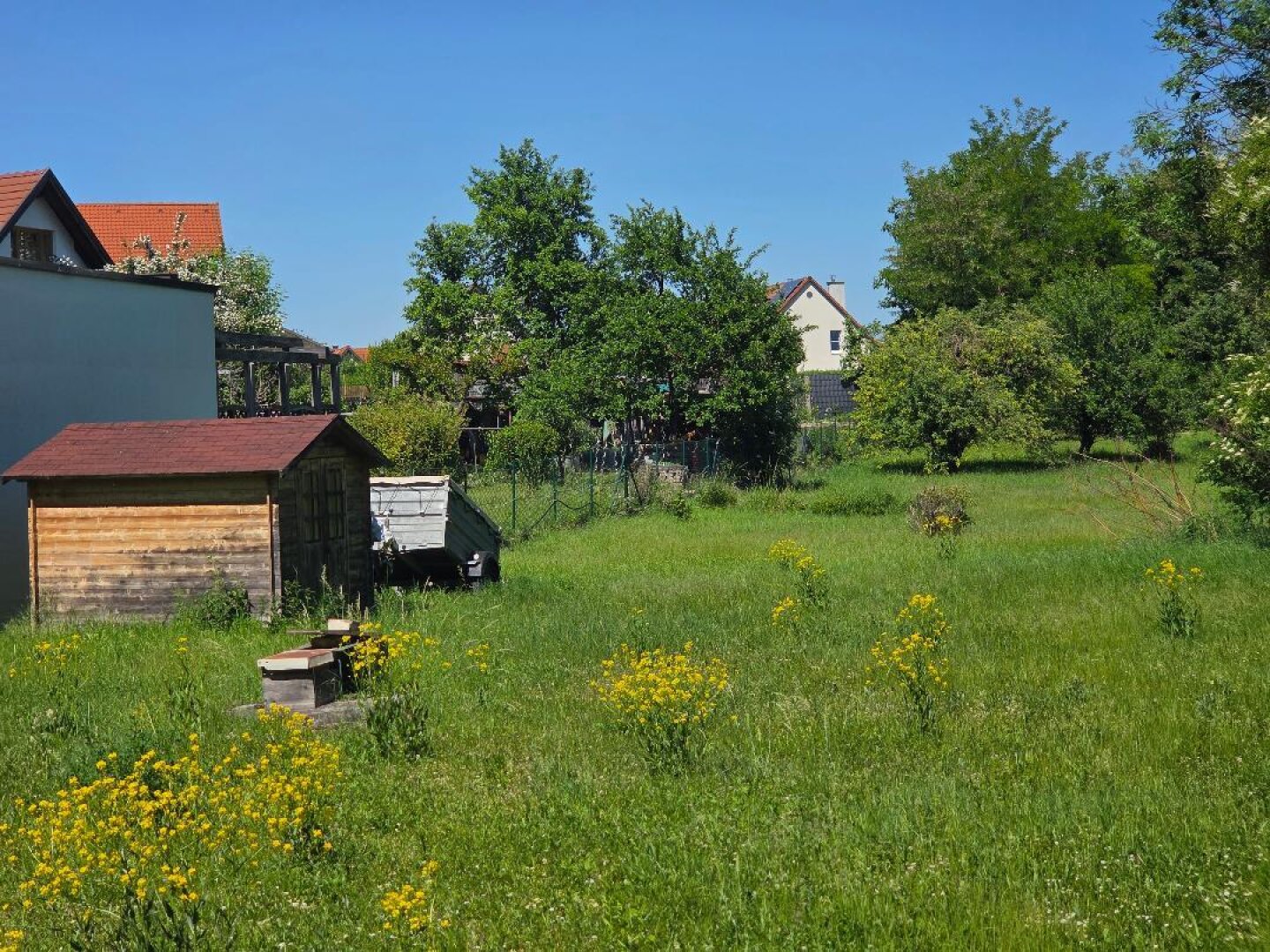 Zentrales Grundstück in Bisamberg | Nähe Ortszentrum | ca. 1033 m2 | Bauklasse I+II | gute Bebaubarkeit