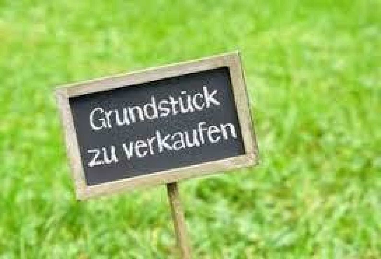 Ihr Traumgrundstück im Wienerwald – 930 m² pure Lebensqualität in Weidlingbach bei Pressbaum | ZELLMANN IMMOBILIEN