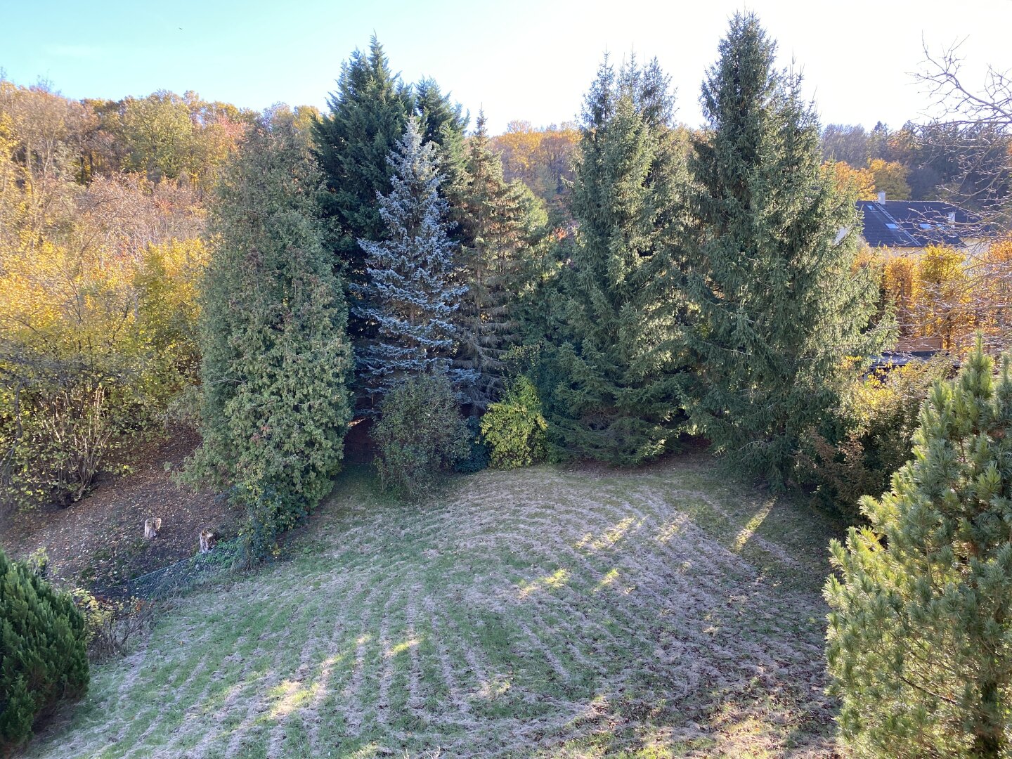 „Ein Stück Wienerwald – Raum für neue Lebensideen“ | ZELLMANN IMMOBILIEN