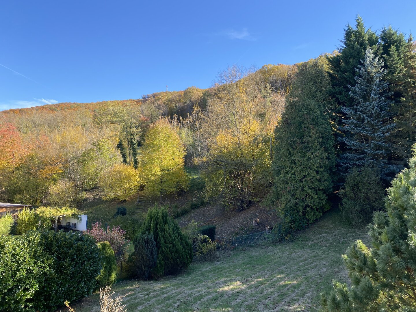 Ein Ort mit Perspektive – Sonniges Grundstück mit entkerntem Bestandsgebäude in Breitenfurt | ZELLMANN IMMOBILIEN