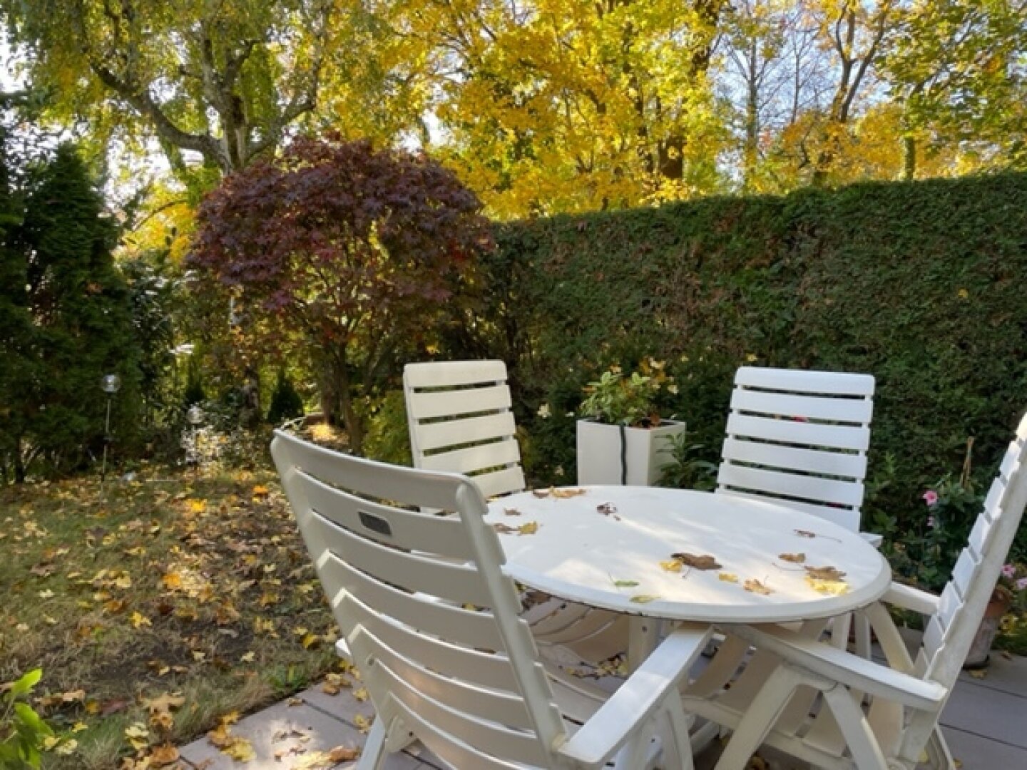 Wohnen im Grünen – großzügiges Reihenhaus mit sonnigem Garten in absoluter Ruhelage | ZELLMANN IMMOBILIEN