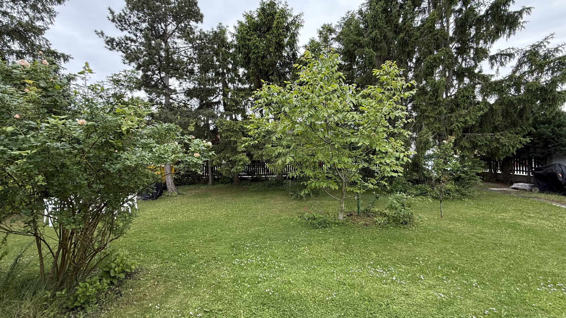 Charmantes Sommerhaus mit Potenzial in Pottendorf | ZELLMANN IMMOBILIEN