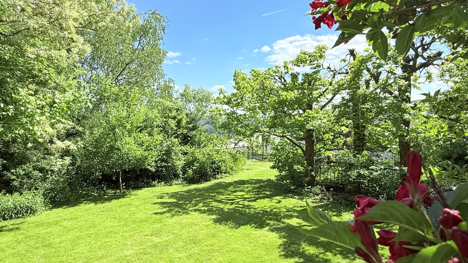 "Ein Zuhause mit Gefühl – und einem Blick, der berührt" | ZELLMANN IMMOBILIEN