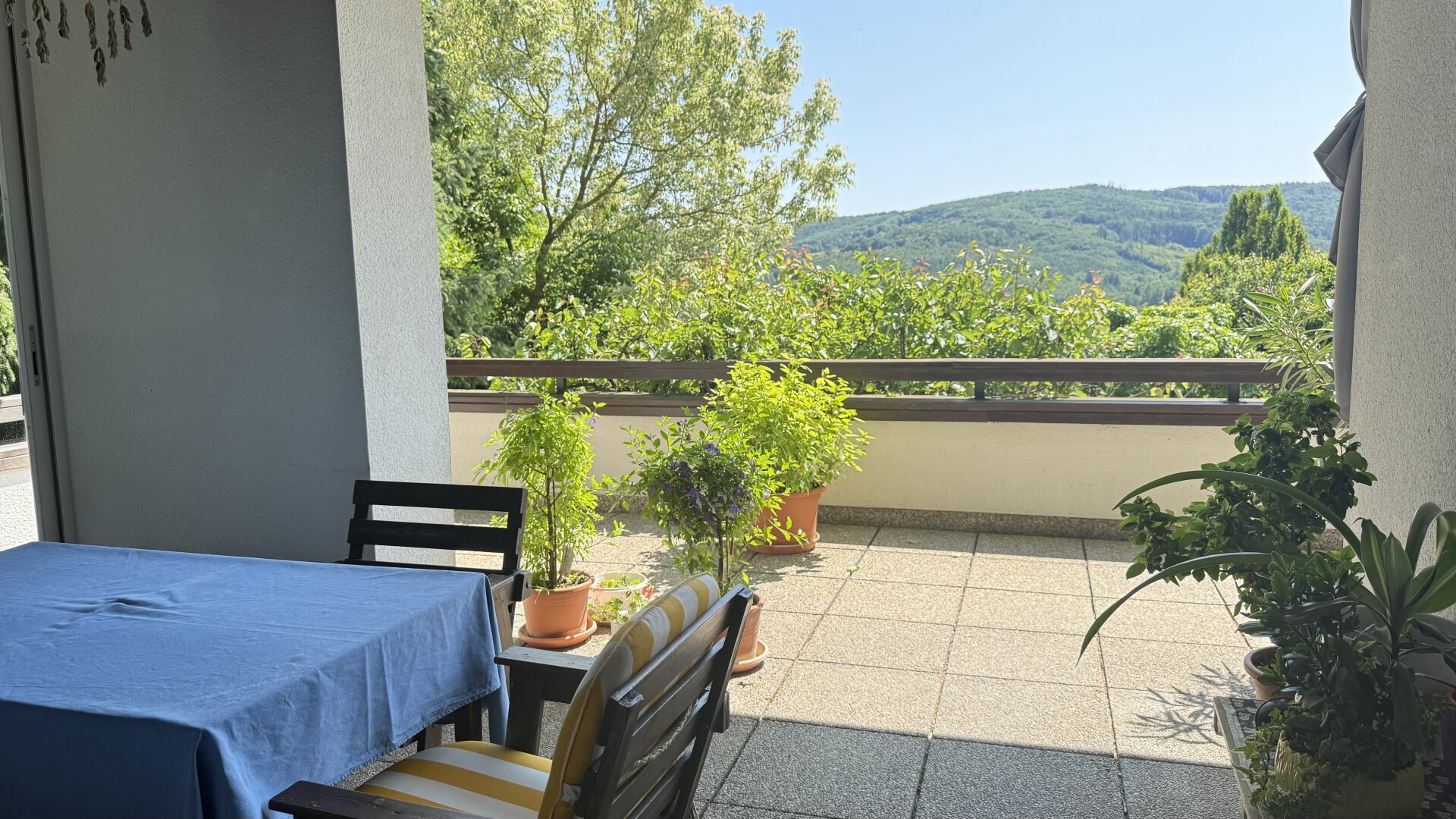 "Ein Zuhause mit Gefühl – und einem Blick, der berührt" | ZELLMANN IMMOBILIEN