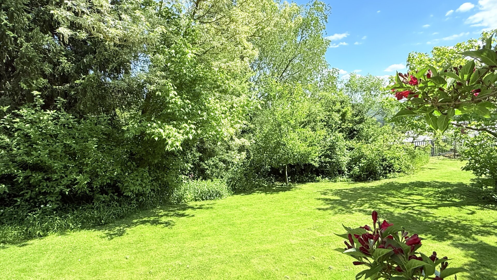 "Ein Zuhause mit Gefühl – und einem Blick, der berührt" | ZELLMANN IMMOBILIEN