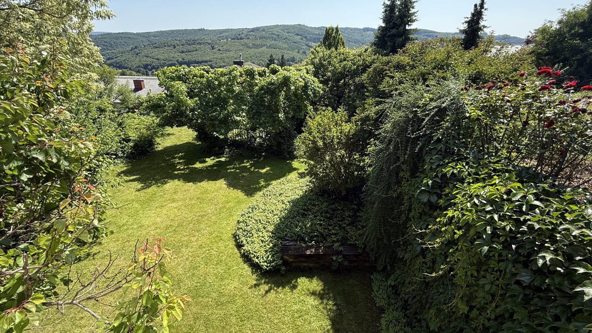 "Ein Zuhause mit Gefühl – und einem Blick, der berührt" | ZELLMANN IMMOBILIEN