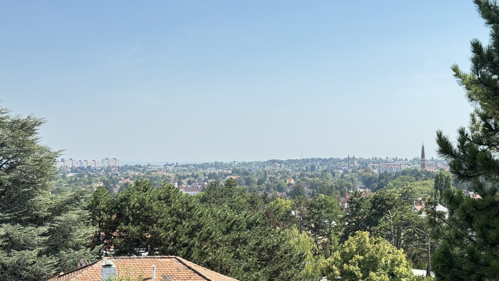 Villa am Roten Berg – Exklusives Wohnen in Wiens begehrtester Villenlage | ZELLMANN IMMOBILIEN