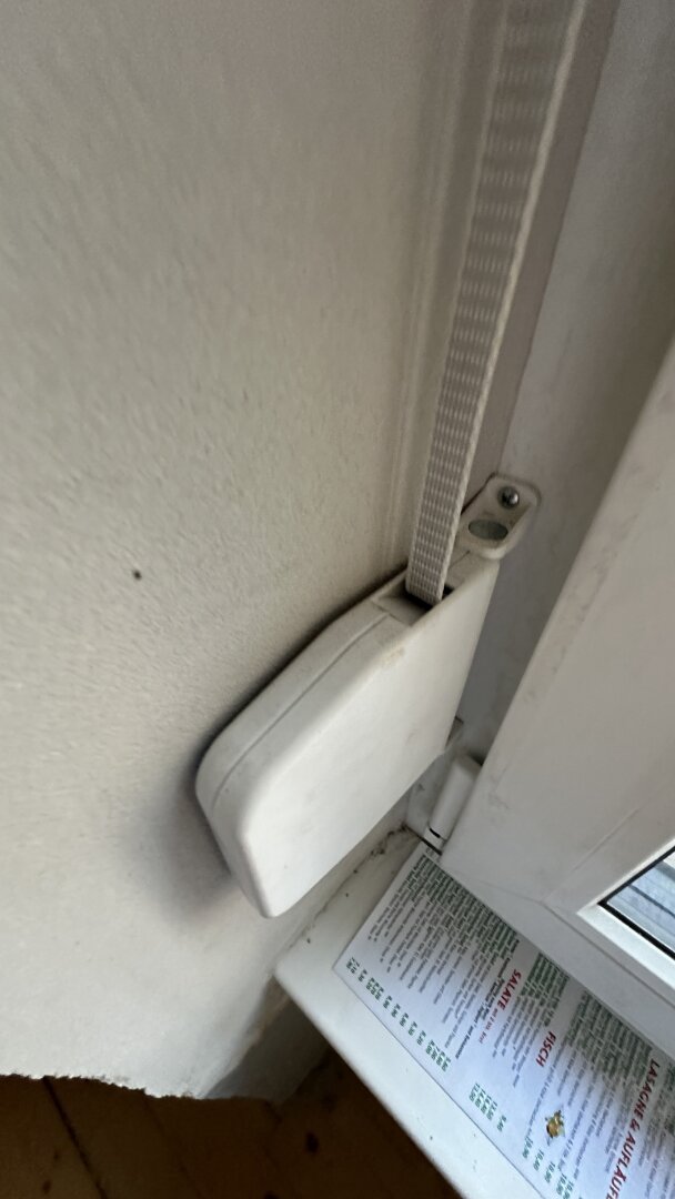 Altbaujuwel im Pratercottage – ruhig gelegen mit Entwicklungspotenzial | ZELLMANN IMMOBILIEN