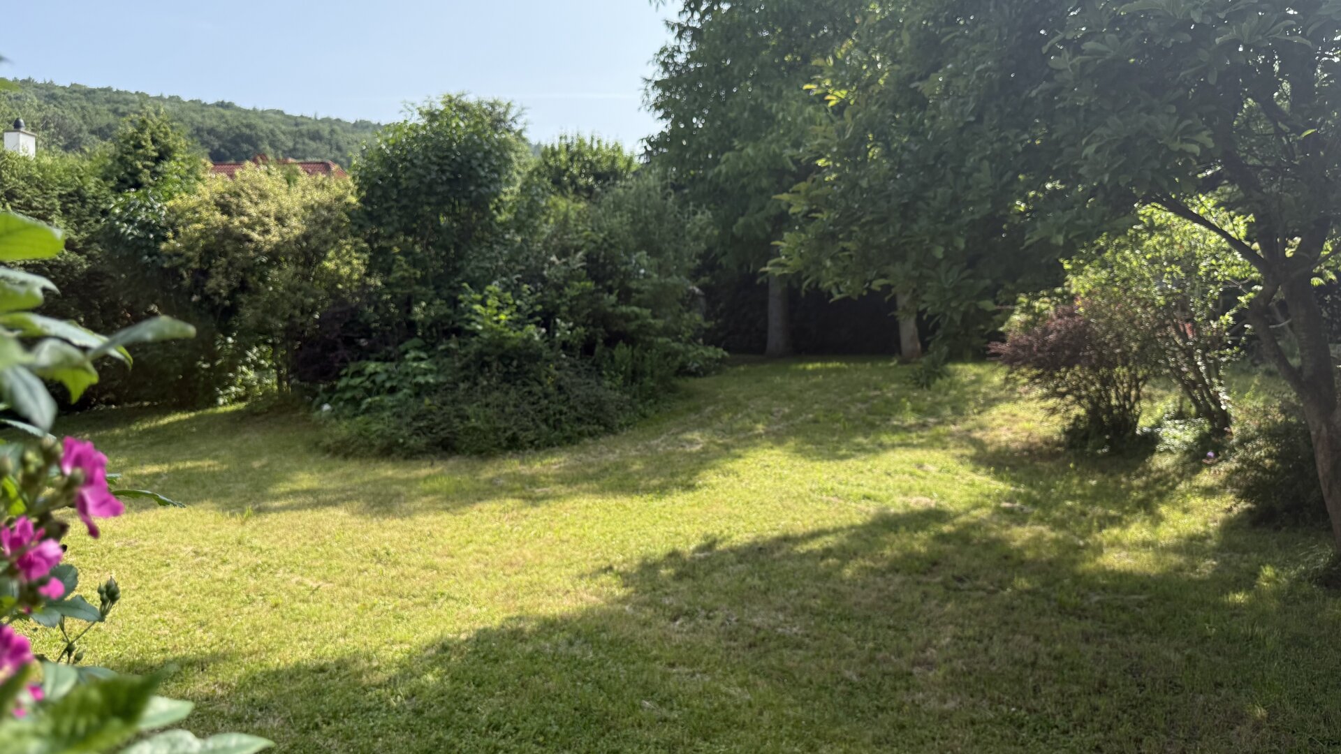 Leben über dem Alltag – Familienidylle in erhöhter Ruhelage am Hirschentanz | ZELLMANN IMMOBILIEN