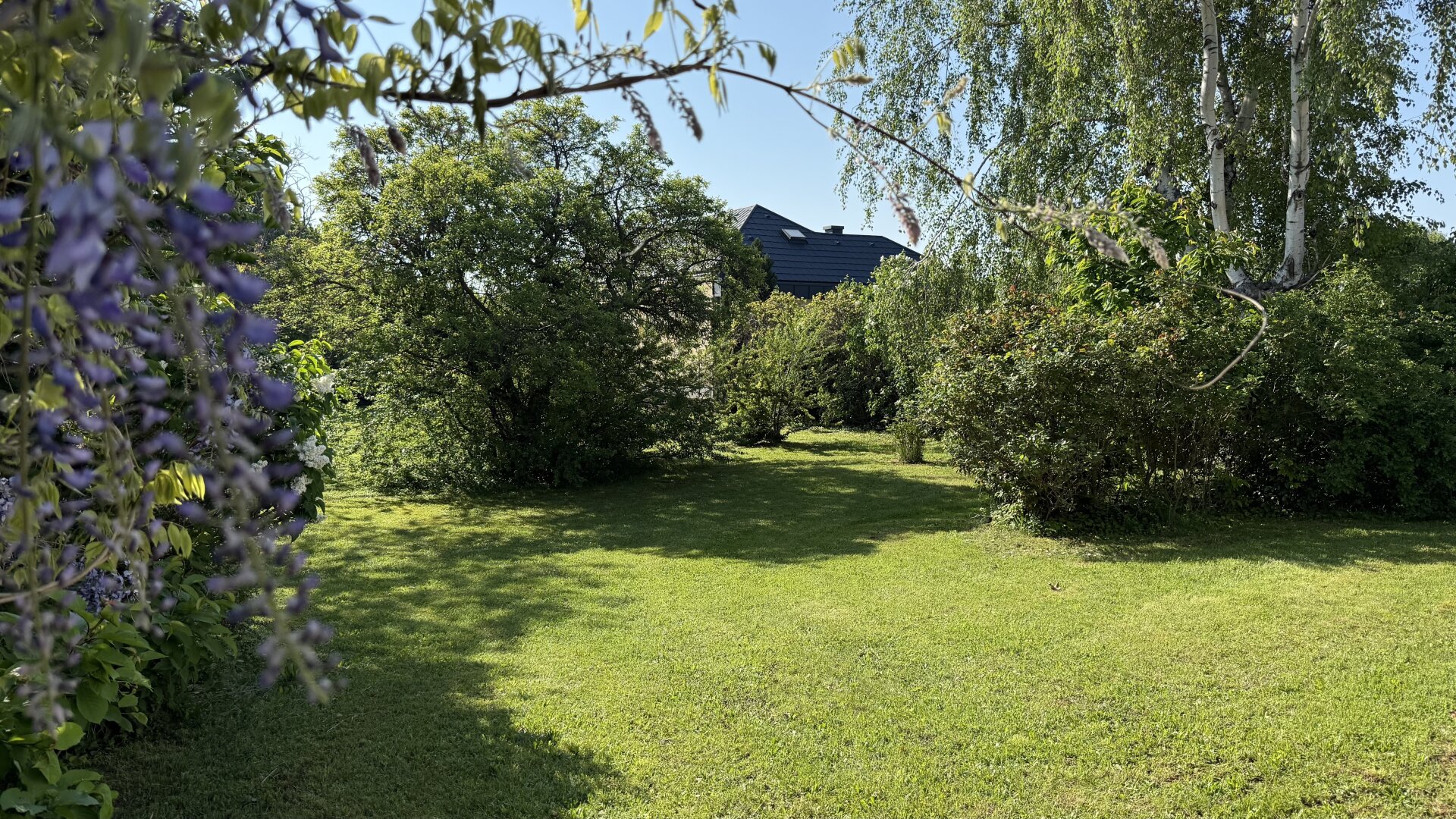 Erstbezug nach Generalsanierung – Modernes Wohnen in absoluter Ruhelage nahe Neusiedler See | ZΞLLMANN IMMOBILIEN